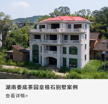 湖南娄底茶园皇禧石别墅案例